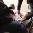 Likwidacja laboratorium produkującego olej konopny