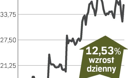 Cable&Wireless: zmiana właściciela służy akcjom