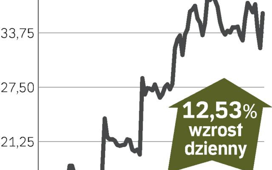 Cable&Wireless: zmiana właściciela służy akcjom