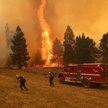 Pożar dębiny w Kalifornii zagraża sekwojom z Parku Narodowego Yosemite