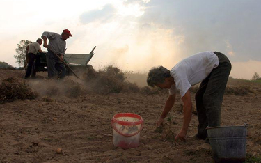 Renta z KRUS dla rolnika z tytułu niezdolności do pracy a jakość ziemi