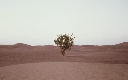 Martyna Jakubowicz, "Prosta piosenka", Universal, CD, 2016