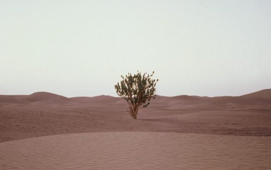 Martyna Jakubowicz, "Prosta piosenka", Universal, CD, 2016