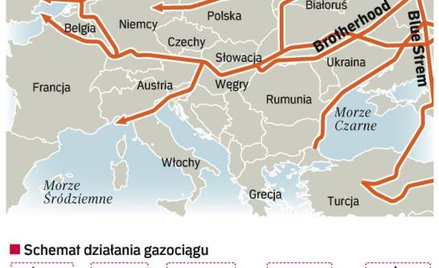 Kontynent pokryty siecią gazowych połączeń