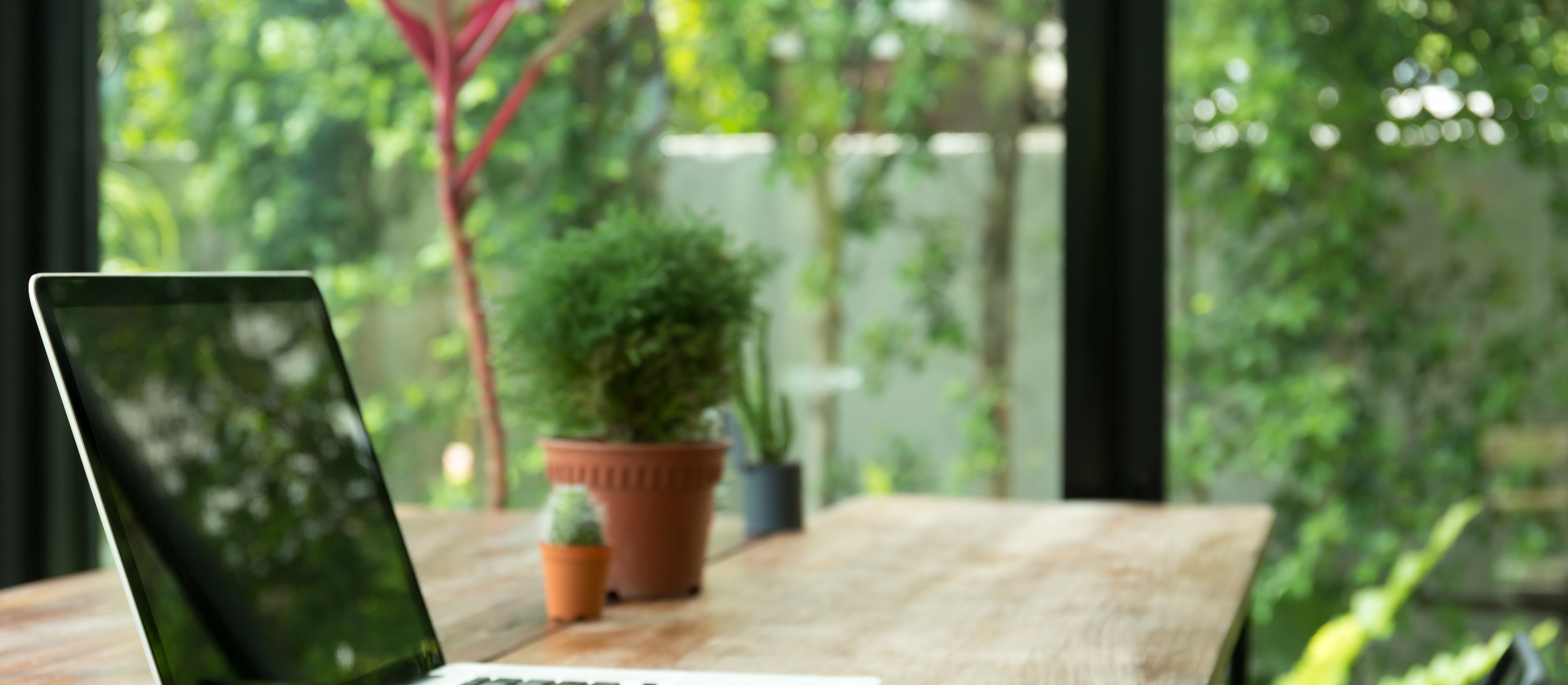 Ochrona środowiska: granica i kierunek rozwoju przedsiębiorczości