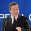 David Cameron, premier Wielkiej Brytanii podczas szczytu UE 20 grudnia 2013 r.