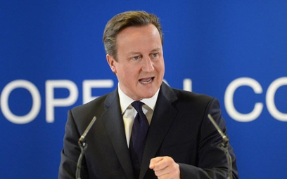 David Cameron, premier Wielkiej Brytanii podczas szczytu UE 20 grudnia 2013 r.