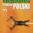 Ilustrowana encyklopedia ptaków Polski Carta Blanca Warszawa 2010 s. 351