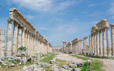 Kolumnada głównego traktu starożytnej Apamei, jednej ze stolic Seleucydów w Syrii.