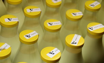 Poprawka 171: przyszłość roślinnego nabiału w rękach Unii