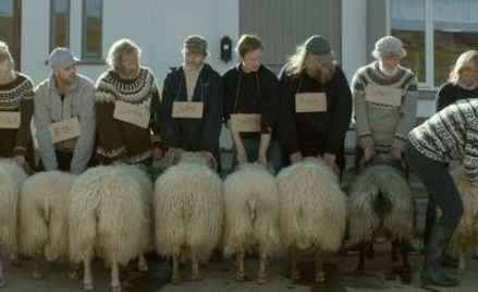 Kadr z filmu "Rams"