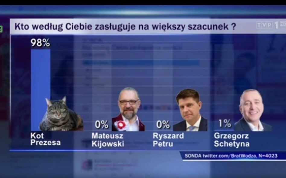 "Wiadomości" przedstawiły sondę z Twittera. Kot prezesa z większym szacunkiem niż opozycja