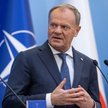 Premier Donald Tusk Fot. Wojtek RADWANSKI/AFP