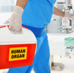 Będą motywować do przeszczepów - nowelizacja przepisów o transplantacjach