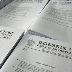 Artur Nowak-Far: Prawo nie powinno strzelać do komara z armaty