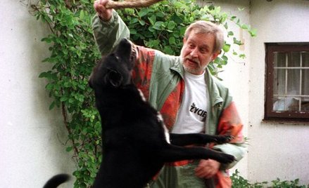 Tomasz Wołek, czyli łubudubu, niech żyje nam prezes... Rady Ministrów!