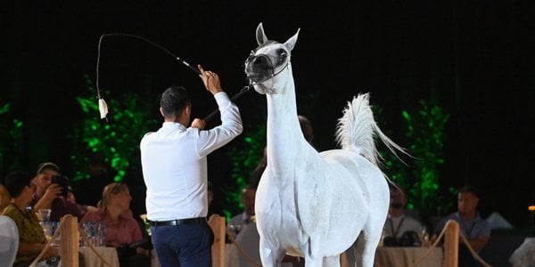 Another controversy around Pride of Poland. The auction will include... embryo