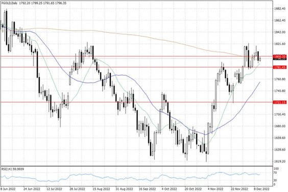 Notowania złota – dane dzienne
