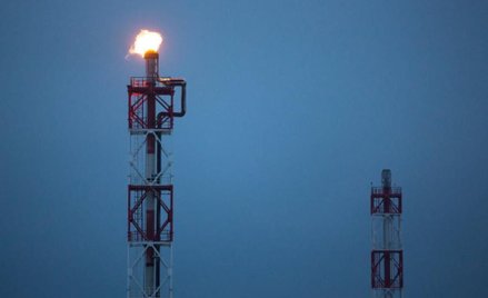 Ropa zamrożona na 9 miesięcy