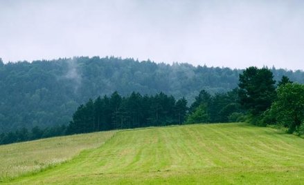 Rośnie PKB biednych regionów, spada bogatych