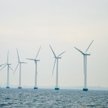 Rozbicie dzielnicowe w offshore