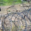 Zaostrzają się kontrole na unijnych granicach