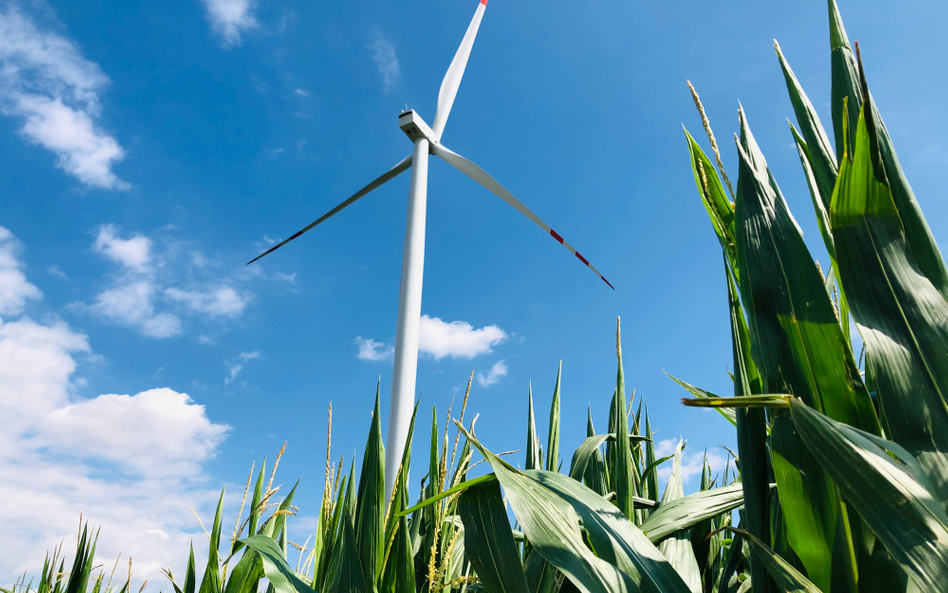 Farma wiatrowa Koźmin w Wielkopolsce