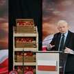 Kto powinien być kandydatem PiS na premiera? Jarosław Kaczyński podjął decyzję, ale Polacy mają inne