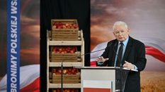 Kto powinien być kandydatem PiS na premiera? Jarosław Kaczyński podjął decyzję, ale Polacy mają inne
