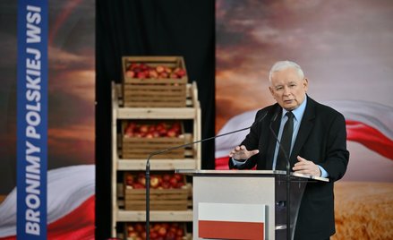 Kto powinien być kandydatem PiS na premiera? Jarosław Kaczyński podjął decyzję, ale Polacy mają inne