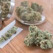Jak marihuana wpływa na życie seksualne?