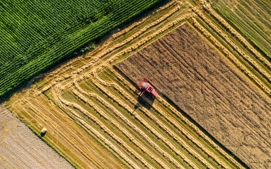 Rosja obwinia Zachód o globalne zagrożenie bezpieczeństwa żywnościowego