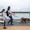 Hongkong: 14-miesięczne dziecko wróciło z Wysp z koronawirusem