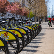 Samorządy stawiają na nowe technologie, które mają uatrakcyjnić sposób korzystania z miejskich rower