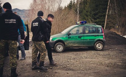 Irakijczyk ściął drzewo, by dostać się do Polski