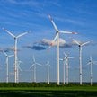 OZE i atom wygrywają w sondażu. Tak Polacy widzą energetykę przyszłości