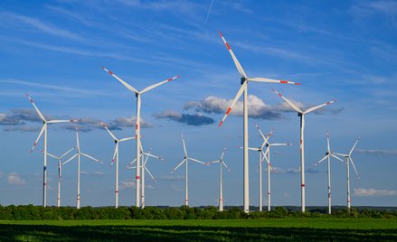 OZE i atom wygrywają w sondażu. Tak Polacy widzą energetykę przyszłości