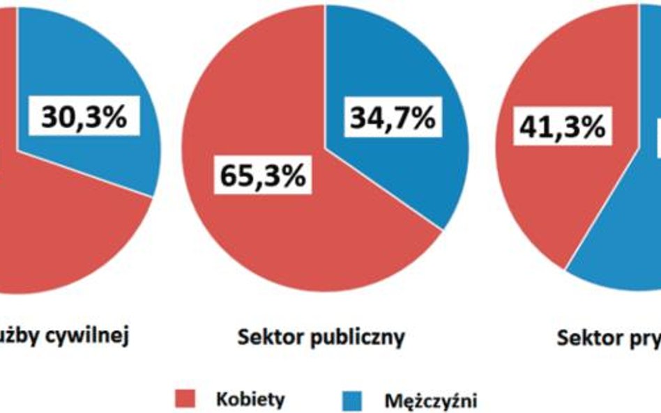 Zatrudnienie kobiet w służbie cywilnej oraz według sektorów własności w 2017 r.
