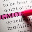 Burza wokół żywności modyfikowanej