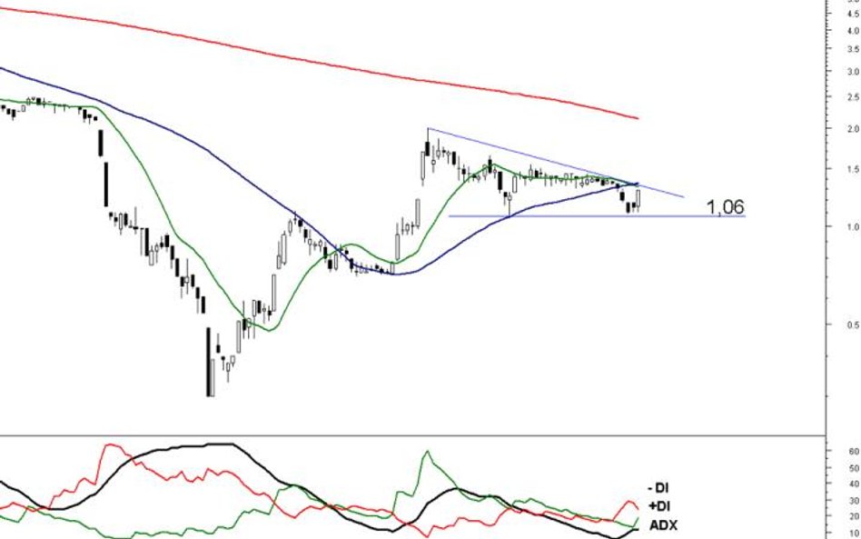 ...i niedźwiedzie, czyli spółki, których nie warto mieć w portfelu