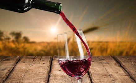 Na mapie winiarskiego świata Polska staje się krajem z mocną pozycją, a produkowane nad Wisłą wina b