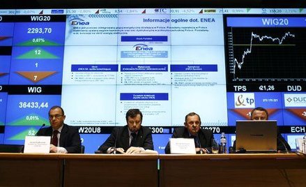 Analitycy giełdowi pozytywnie odnoszą się do ostatniego pomysłu Ministerstwa Skarbu Państwa, aby zwi