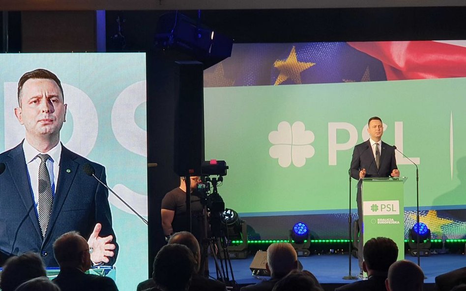 Kosiniak-Kamysz: Wpiszmy UE do Konstytucji. To test dla PiS