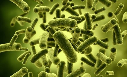 W USA wykryto bakterię odporną na antybiotyki