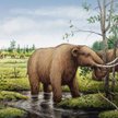 Mastodonty – podobnie jak inne wielkie ssaki, wyginęły po nagłym ochłodzeniu 12,9 tys. lat temu