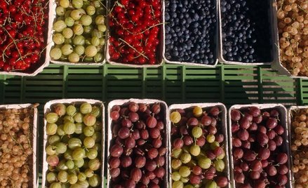 Rosną szanse na ochronę producentów owoców