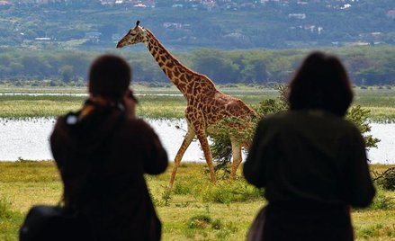 Przez miliony lat ludzie musieli szybko oceniać, czy widziane zwierzę to potencjalna ofiara czy agre