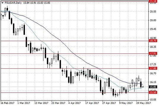 Notowania cukru w USA – dane dzienne