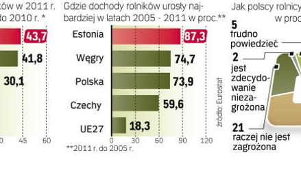 Polscy rolnicy zyskali na wejściu do Unii Europejskiej