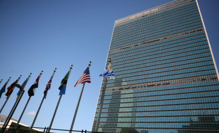 Absurdy ONZ: Syria odbiera kolonie Amerykanom